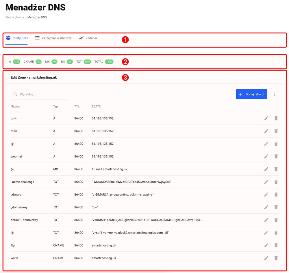 DNS Manager z zakładkami funkcji, informacjami o rekordach i listą rekordów