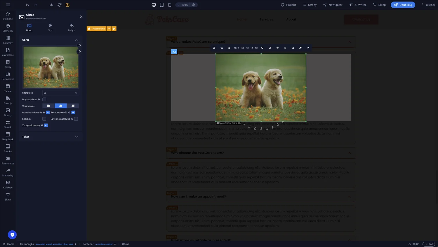 Wstawianie dodatkowego elementu do pola content akordeonu przez przeciągnięcie z panelu bocznego