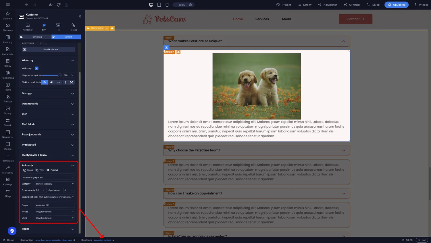Ustawienia animacji rozwijania kontenera akordeonu z ikoną gwiazdki w ścieżce nawigacyjnej