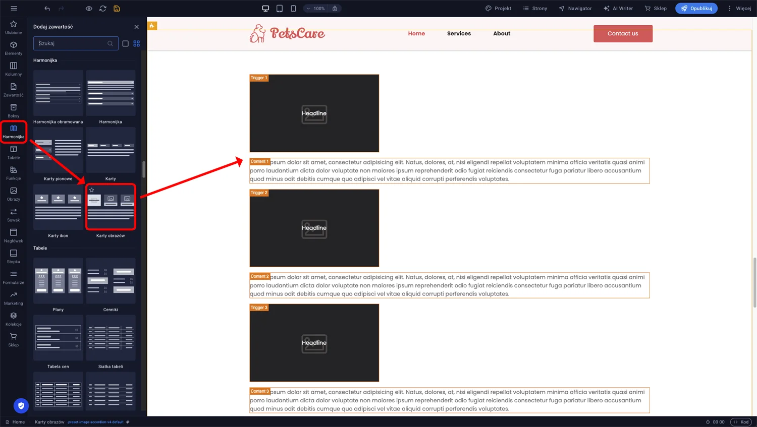 Element Karty obrazów w panelu bocznym Obrazy — gotowy do przeciągnięcia na stronę