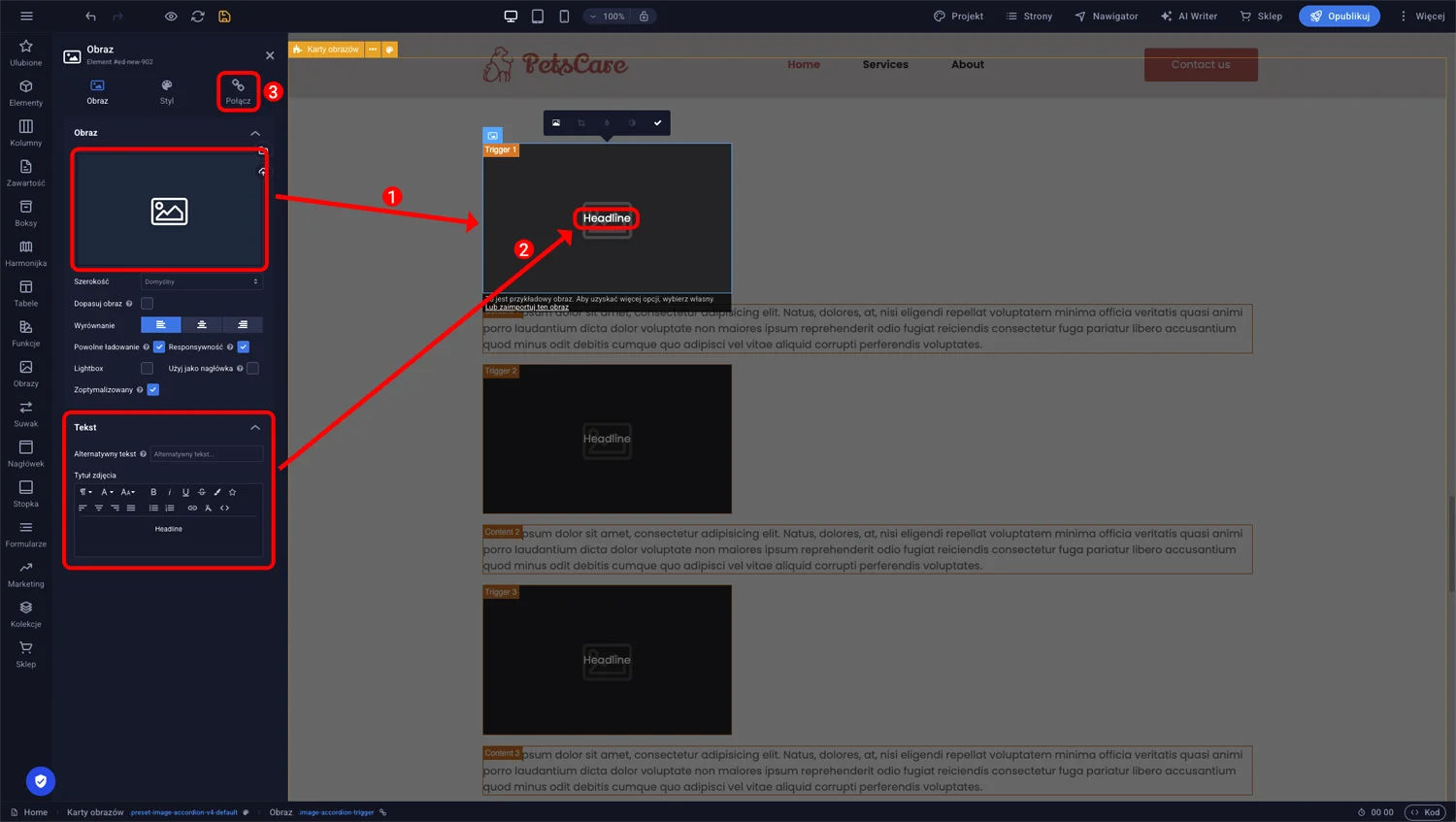 Ustawienia karty obrazu — sekcje Obraz, Tekst z tytułem zdjęcia i Połącz z opcją Następny element