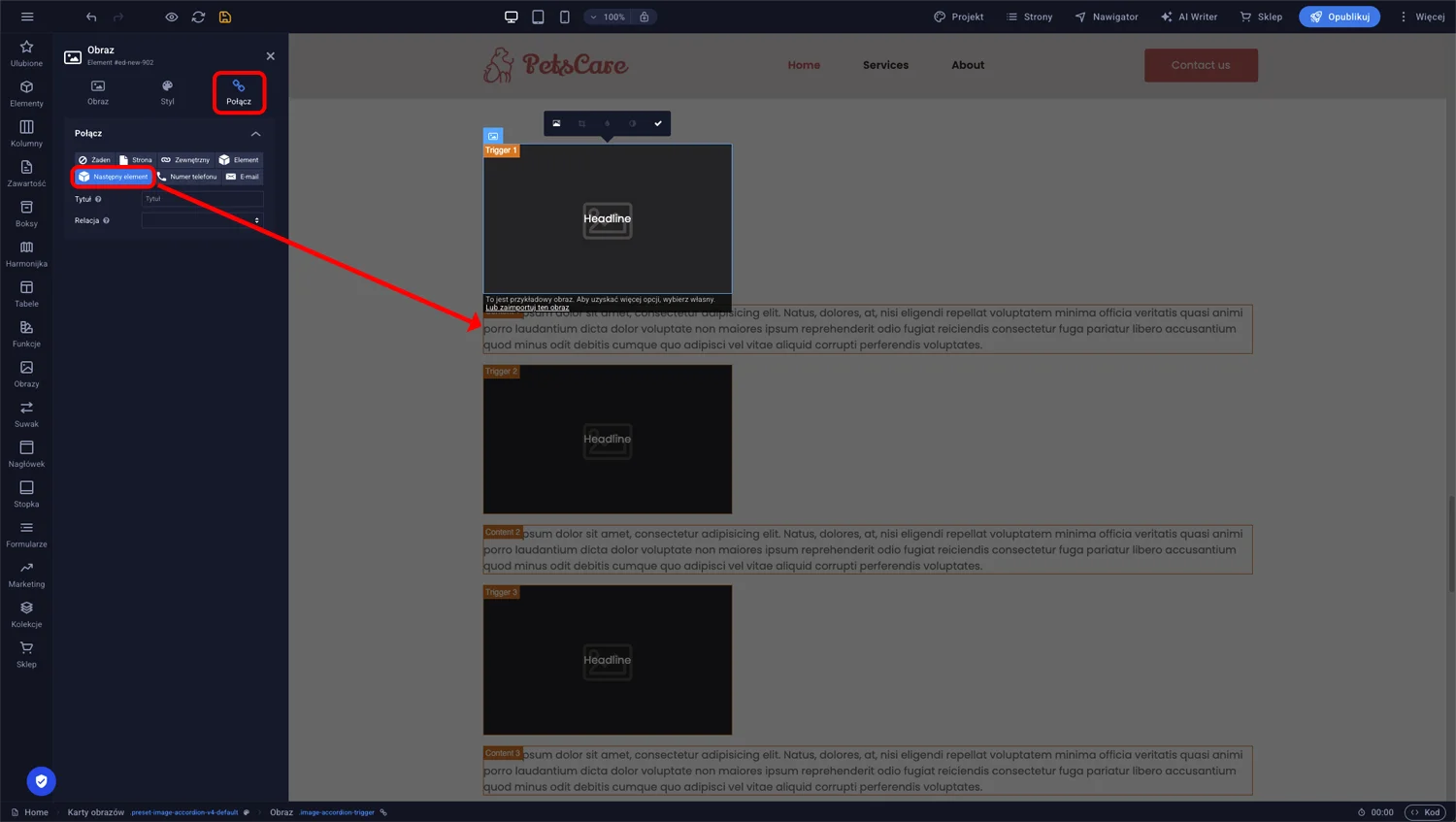 Sekcja Połącz w ustawieniach karty obrazu z zaznaczoną opcją Następny element dla linkowania akordeonu